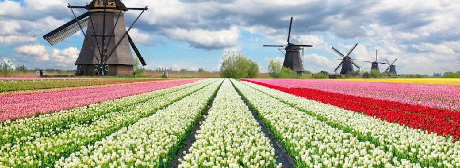 Netherlands Visa